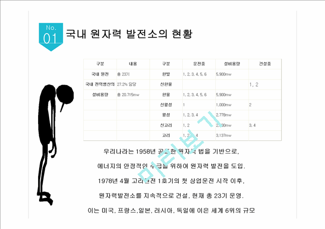 원자력 발전소 현황과 원전사고 대책방안 국내 원자력 발전소 현황 원자력 발전 실태 세계의 원전사고 사례 원전사고 대책방안기타레포트